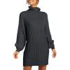 imageANRABESS Women Oversized Sweater Dress Turtleneck Batwing Long Sleeve Ribbed Knit Loose 2025 Fall Winter Casual Short DressBlack