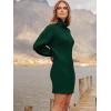 imageANRABESS Women Oversized Sweater Dress Turtleneck Batwing Long Sleeve Ribbed Knit Loose 2025 Fall Winter Casual Short DressDark Green