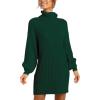 imageANRABESS Women Oversized Sweater Dress Turtleneck Batwing Long Sleeve Ribbed Knit Loose 2025 Fall Winter Casual Short DressDark Green