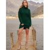 imageANRABESS Women Oversized Sweater Dress Turtleneck Batwing Long Sleeve Ribbed Knit Loose 2025 Fall Winter Casual Short DressDark Green