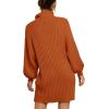 imageANRABESS Women Oversized Sweater Dress Turtleneck Batwing Long Sleeve Ribbed Knit Loose 2025 Fall Winter Casual Short DressPumpkin