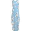 imageANRABESS Women Summer Maxi Dress Beach Vacation Sundress Sleeveless Casual Loose Shirt Dresses 2025 Travel OutfitsSky Floral