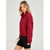 image:imageANRABESS Sweatshirt for Women Oversized Cropped Fall Outfits  Long Sleeve Button Henley Neck Soft Comfy Pullover Tops Relaxed Fit Casual Daily Wear Fall Winter Fashion Outfits ClothesRed