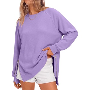 image:imageANRABESS Womens Oversized Crewneck Tunic Sweatshirt  Side Zipper Split Hem Pullover Tops Loose Fit Long Sleeve Shirts Casual Lounge for Daily Office OutfitsSpring Fall ClothesPurple